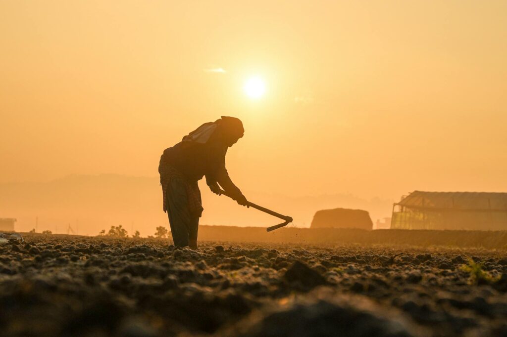 silhouette of a farmer working at sunrise