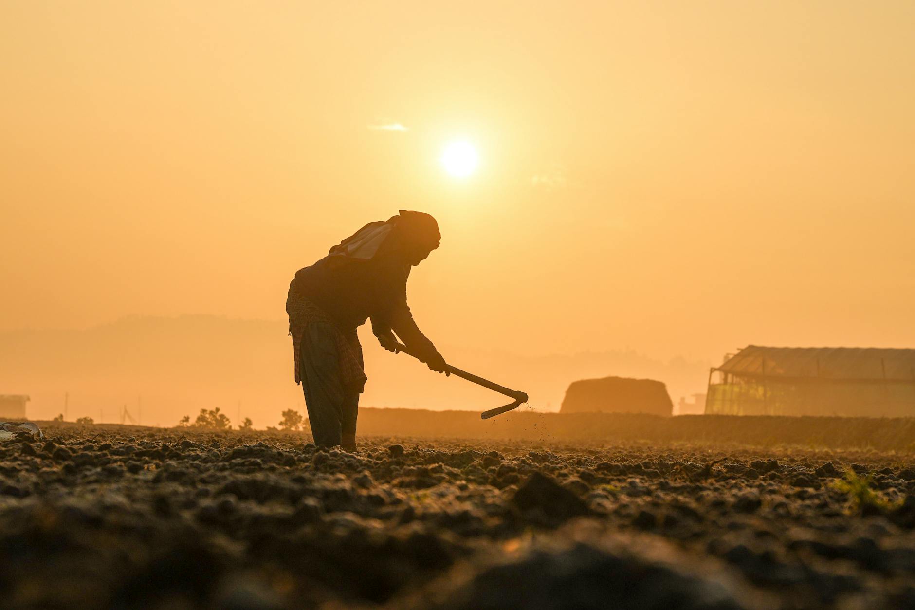 silhouette of a farmer working at sunrise